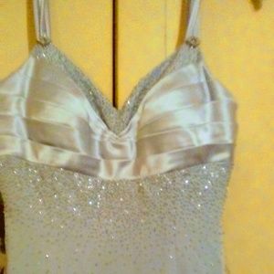 Cassandra Stone Evening Gown Never Worn